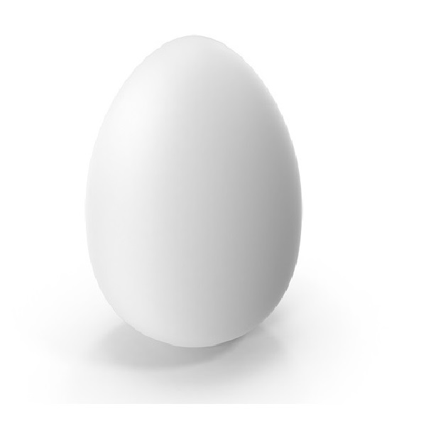 Organic Egg