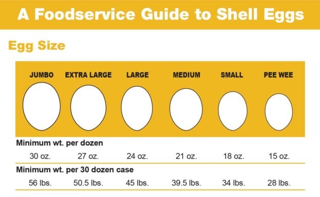 Egg Size